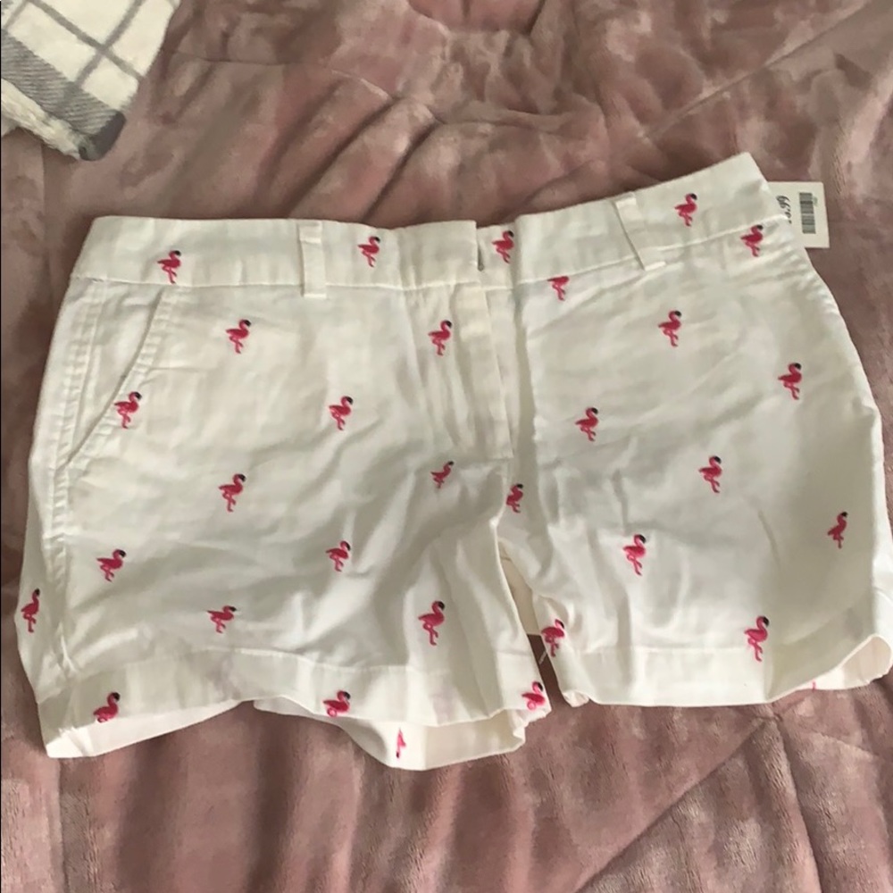 flamingo shorts